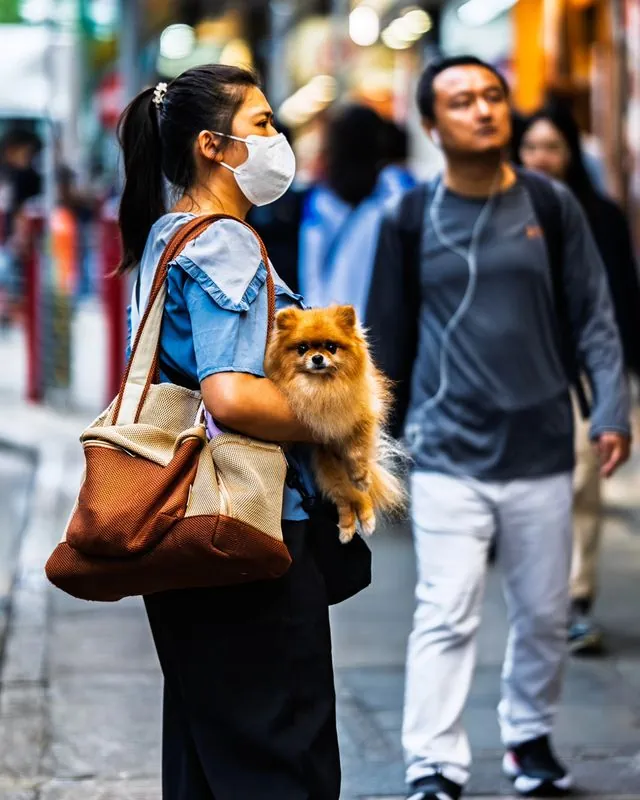 certified floofer on the hong kong streets