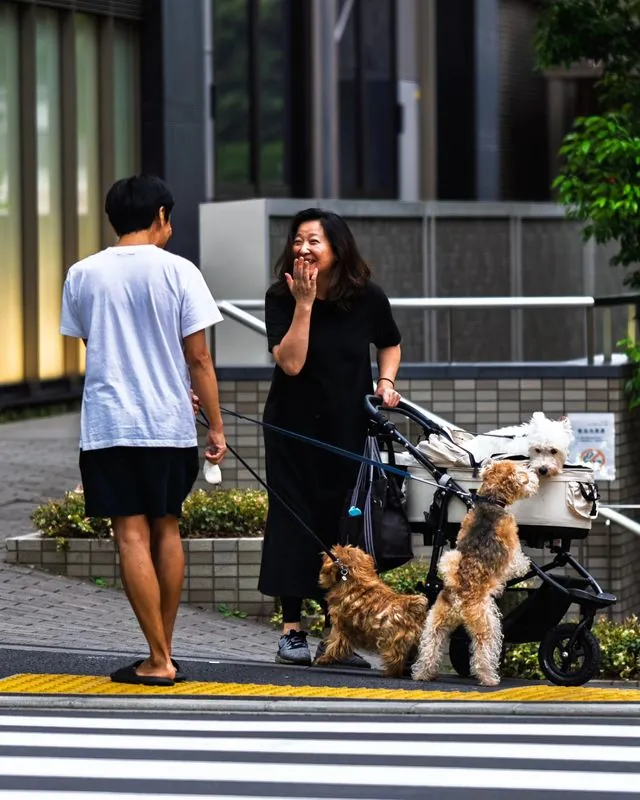 a mother and father (of dogs) have a chance encounter (i assume) in the streets of tokyo