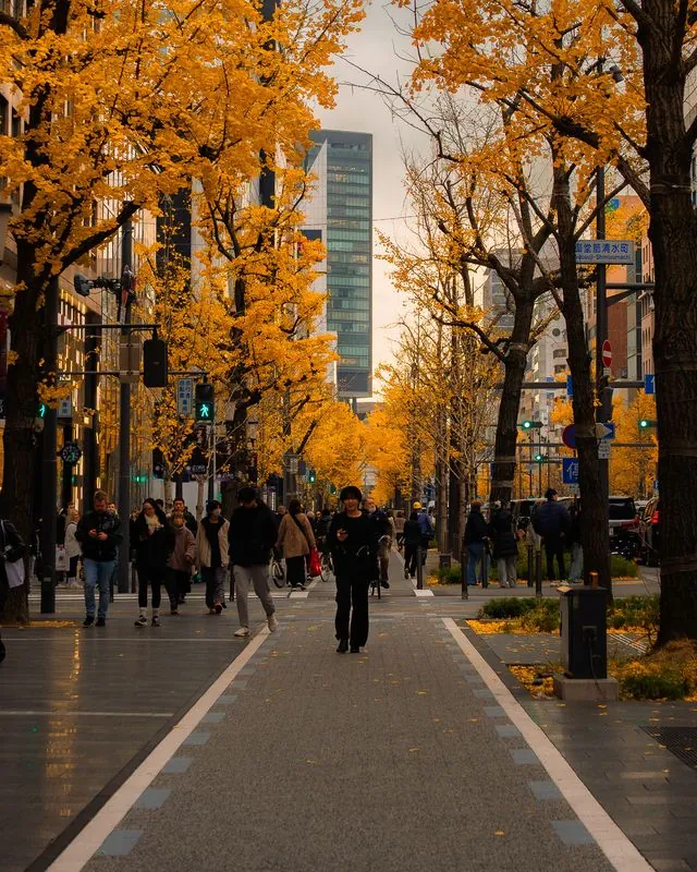 city life in bloom