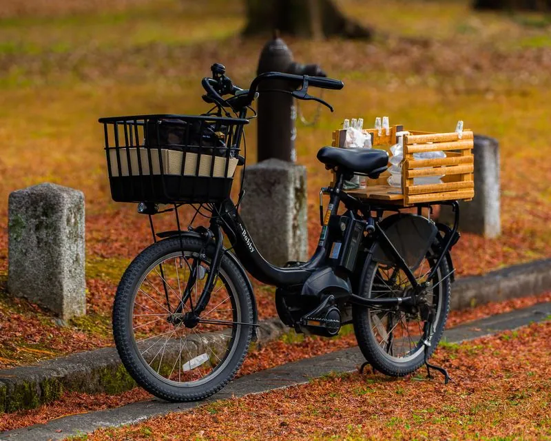 an errand framed amongst the leaves