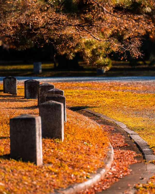 stone posts lining a curving path, long shadows across the leaves