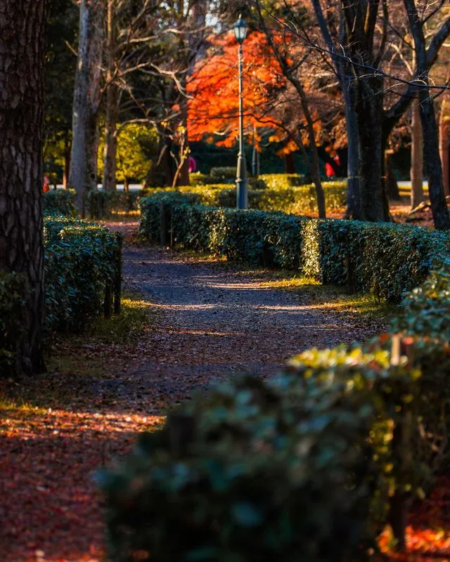 a beautiful path winding needs no reminding