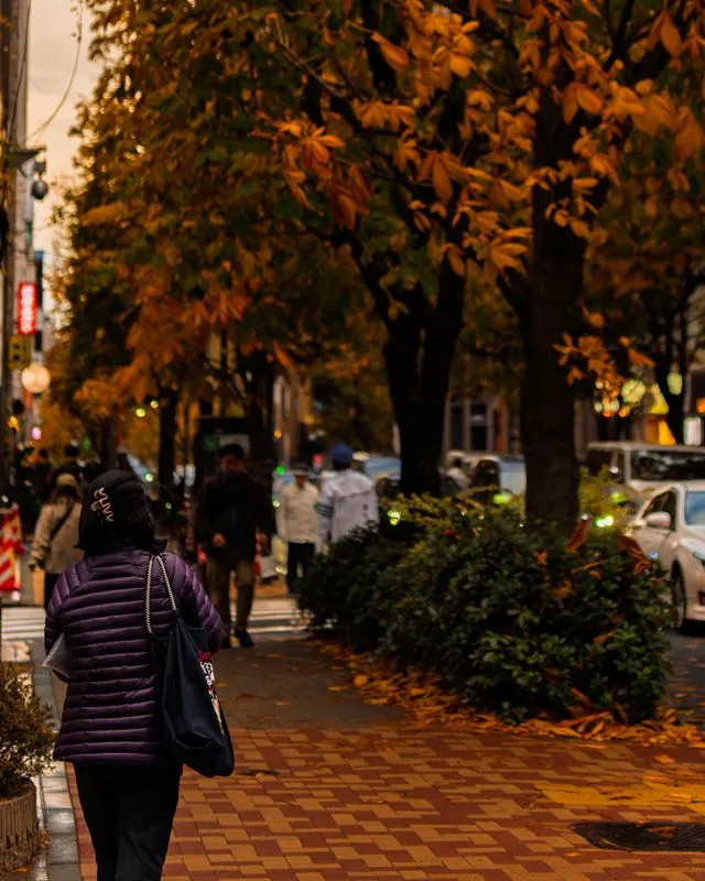 an autumn walk in golden light, leaves lining the sidewalk edges